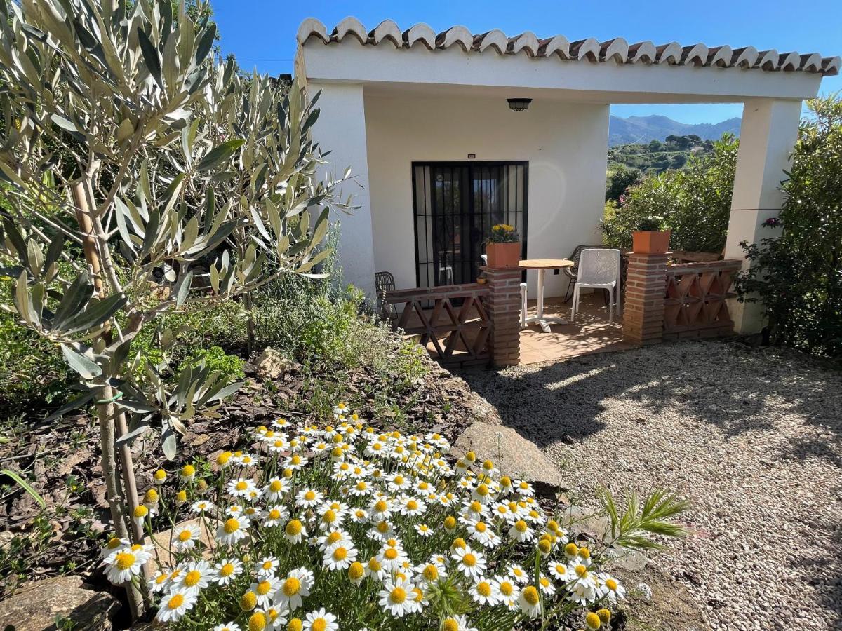 Casa Del Limon Leilighet Canillas de Aceituno Eksteriør bilde